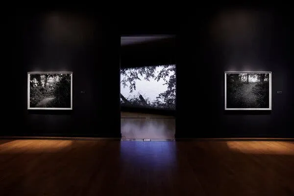 女神视频 - 记忆守护者纪录片